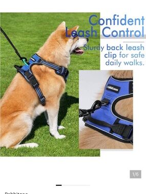 NWT Rabbitgoo no pull dog harness L blue and black